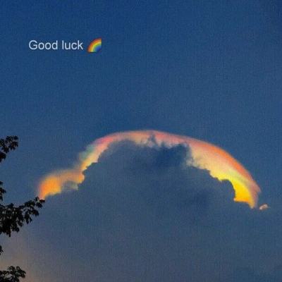 完美娱乐官网下载